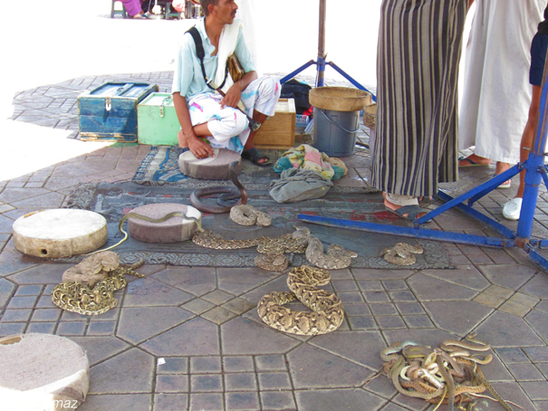 The infamous snake charmers in Jemaa el-Fnaa.